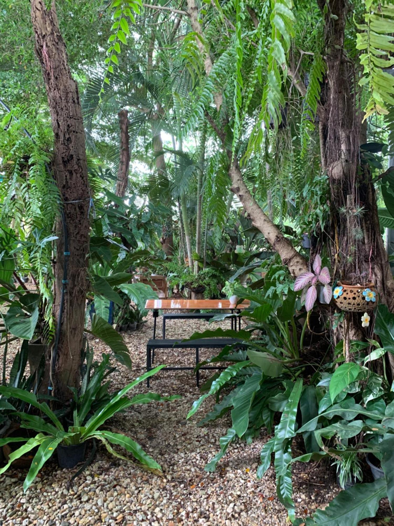 Baan Suan Duang Porn Resort Ban Phae  Extérieur photo