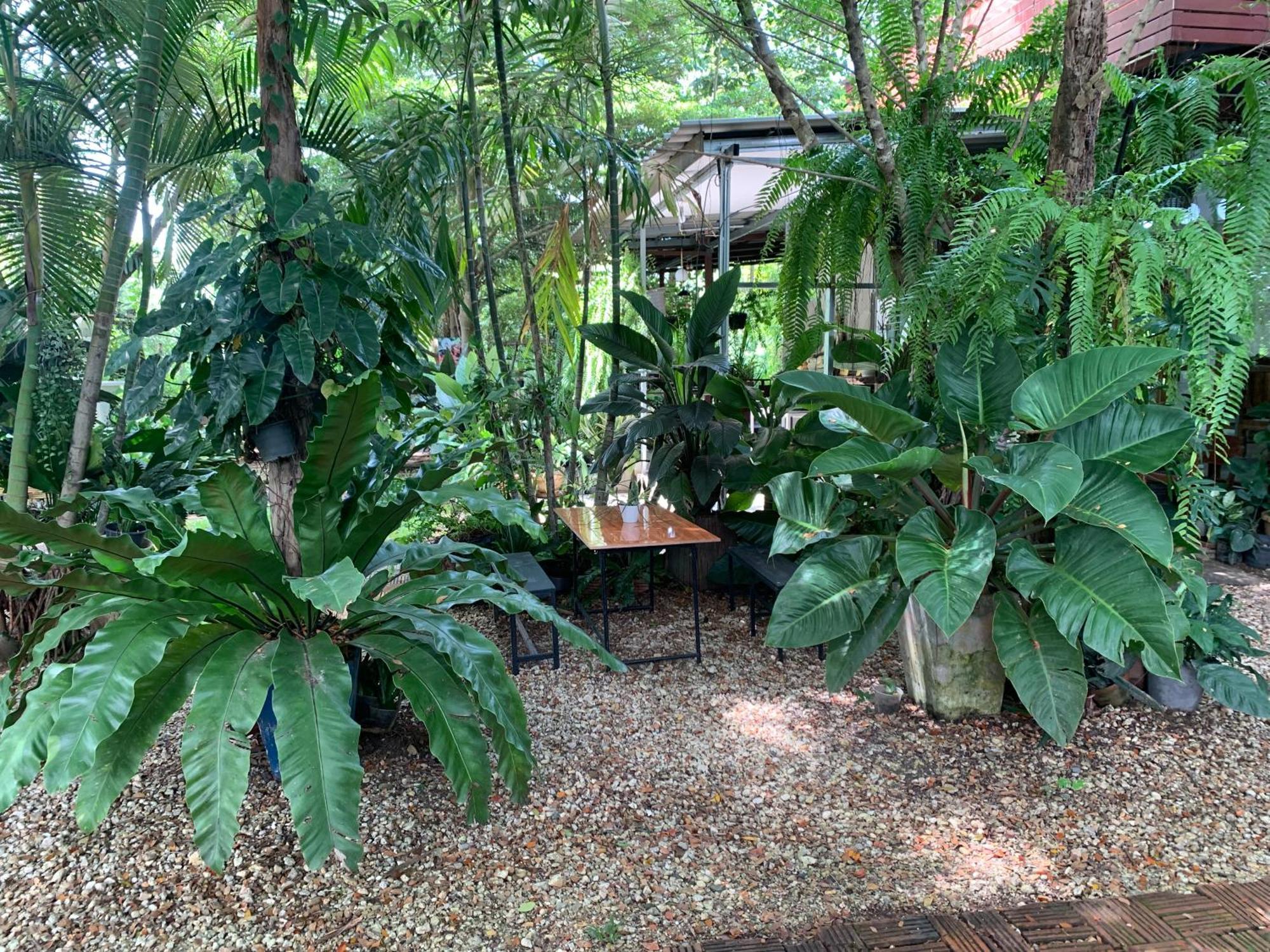 Baan Suan Duang Porn Resort Ban Phae  Extérieur photo