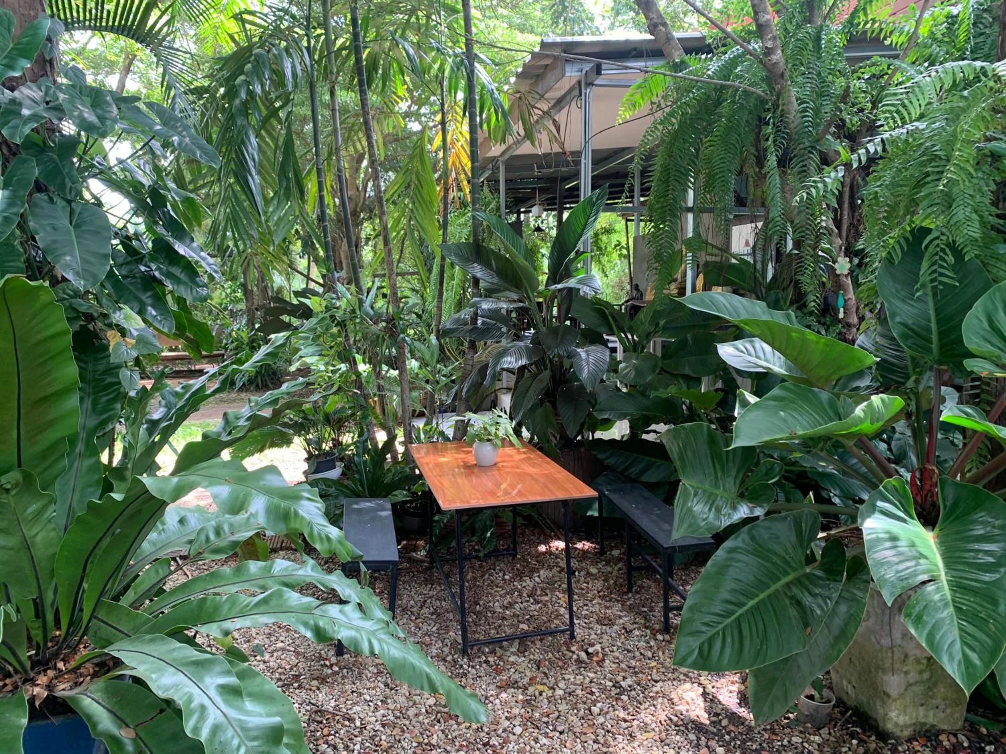 Baan Suan Duang Porn Resort Ban Phae  Extérieur photo