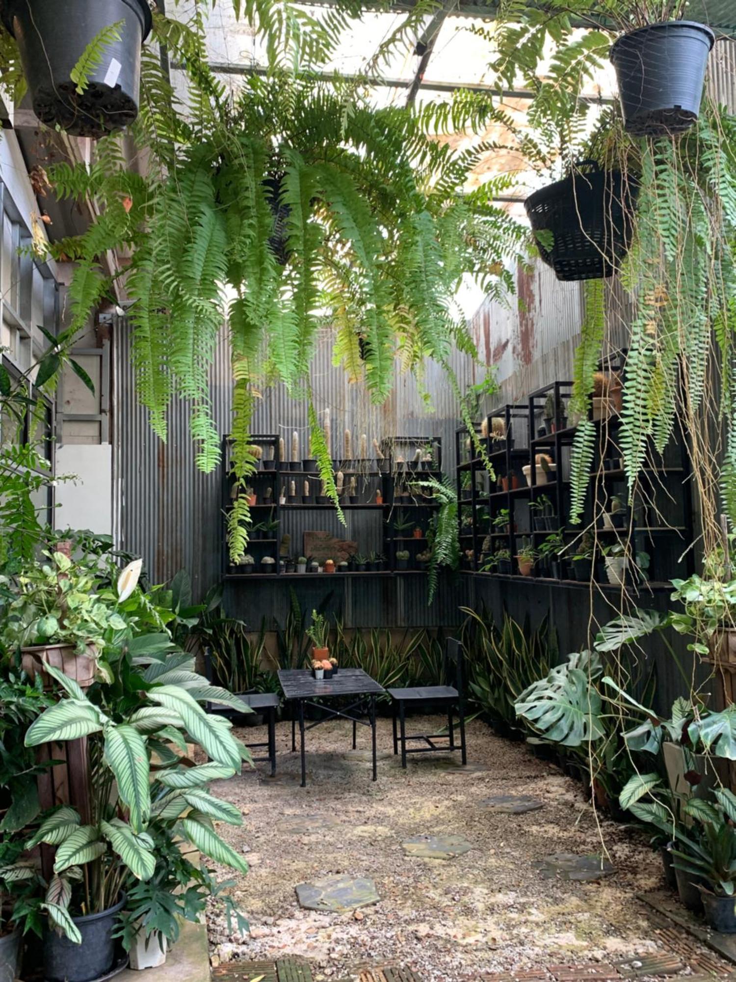 Baan Suan Duang Porn Resort Ban Phae  Extérieur photo