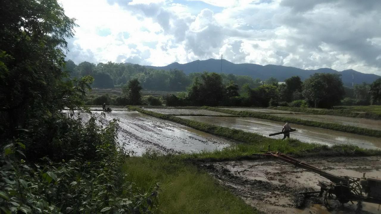 Baan Suan Duang Porn Resort Ban Phae  Extérieur photo
